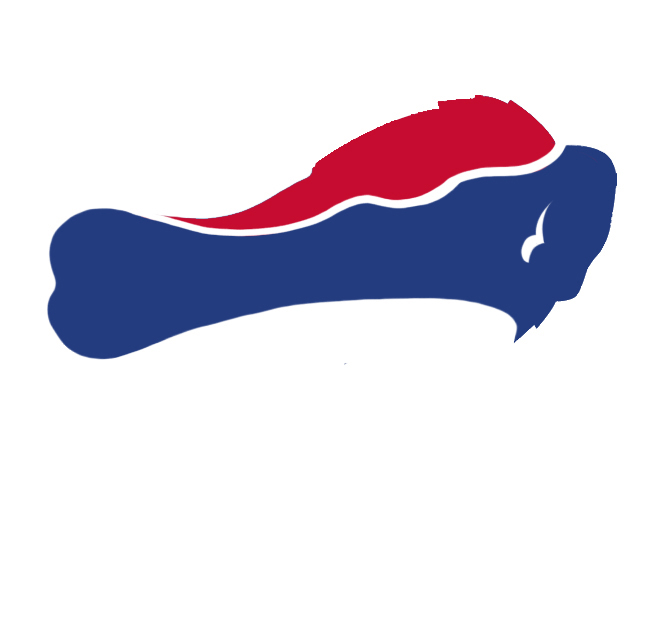 Buffalo Bills Wings Logo iron on transfers